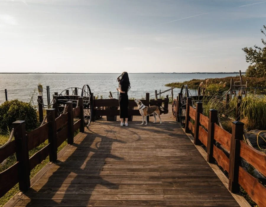Pomost nad wodą w Zacisze Haven