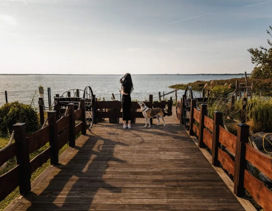 Pomost nad wodą w Zacisze Haven